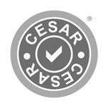 CESAR Logo (4)resized 3